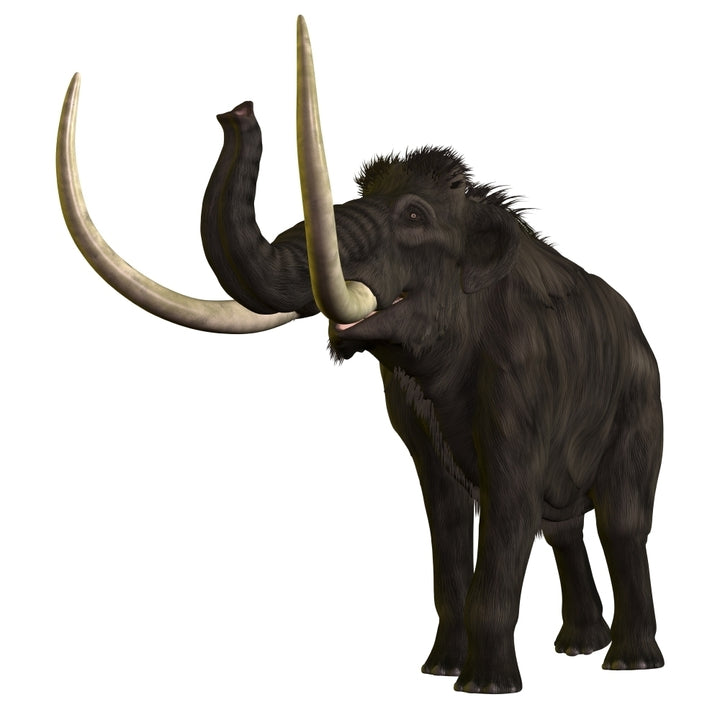 Woolly Mammoth Poster Print Image 1