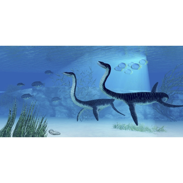 Plesiosaurus dinosaurs swimming the Jurassic seas Poster Print Image 1