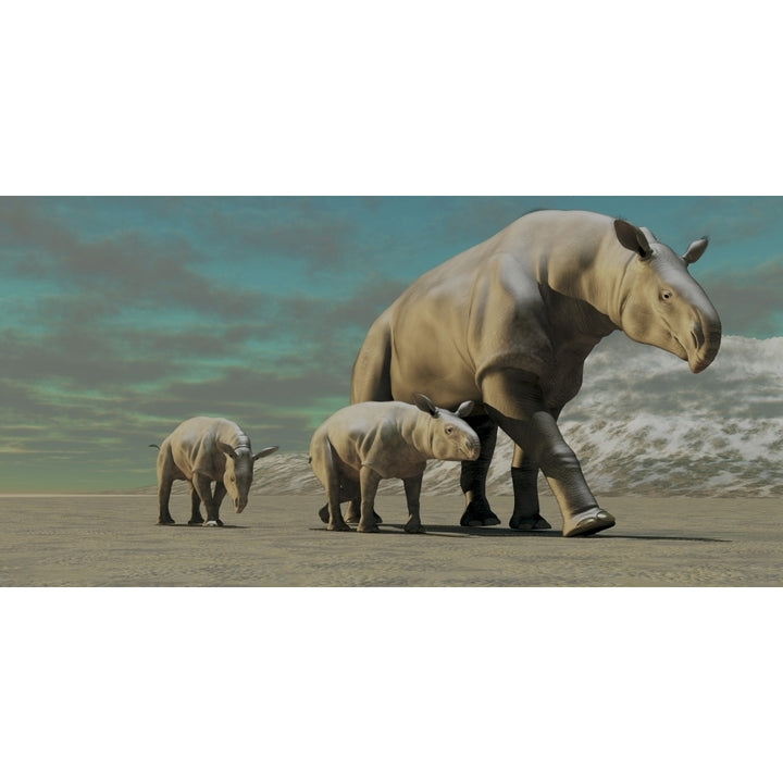 A Paraceratherium mother with two twin calves walks along a desert Poster Print Image 2