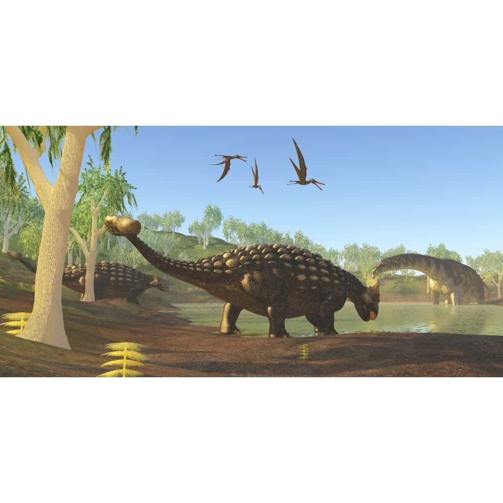 Ankylosaurus dinosaurs drink from a swamp along with an Argentinosaurus Poster Print Image 1