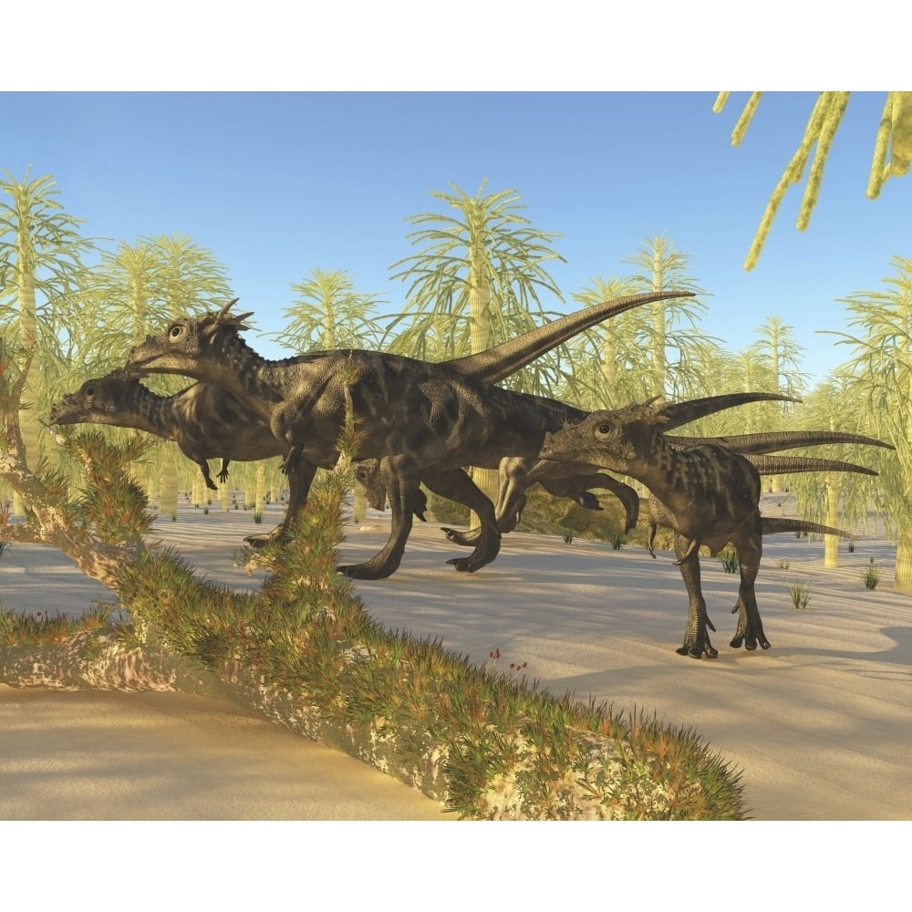 A herd of Dracorex dinosaurs walk through a carboniferous forest Poster Print Image 1