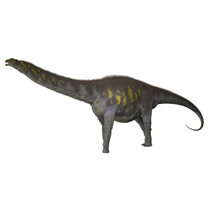 Argentinosaurus a titanosaur from the Cretaceous period Poster Print Image 2