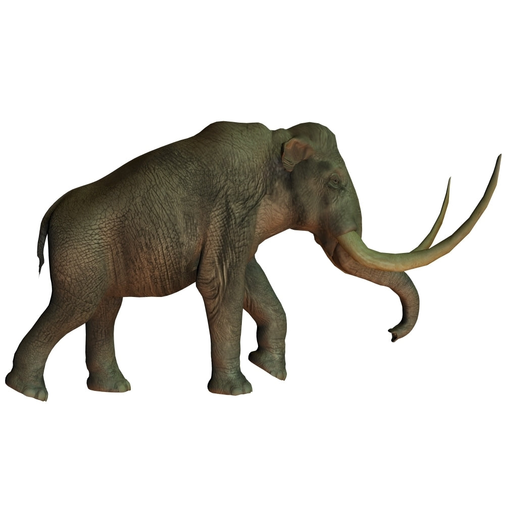 The Columbian mammoth an extinct species of elephant Poster Print Image 1