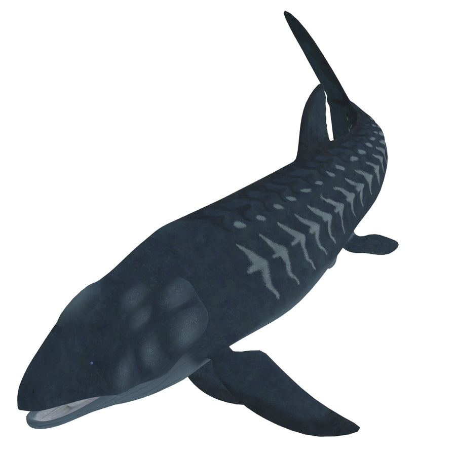 Leedsichthys an extinct bony fish from the Mesozoic Era Poster Print Image 1