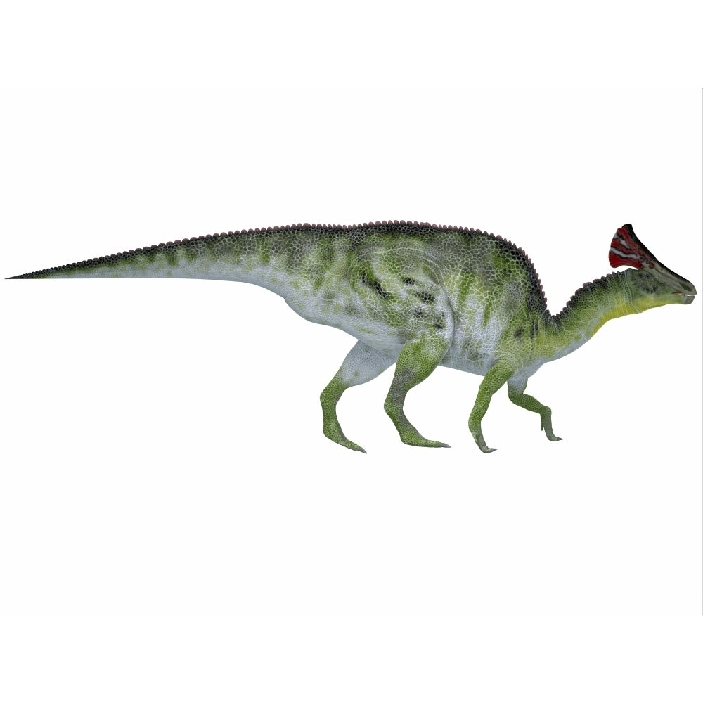 Olorotitan a duckbilled dinosaur from the Cretaceous Period Poster Print Image 1