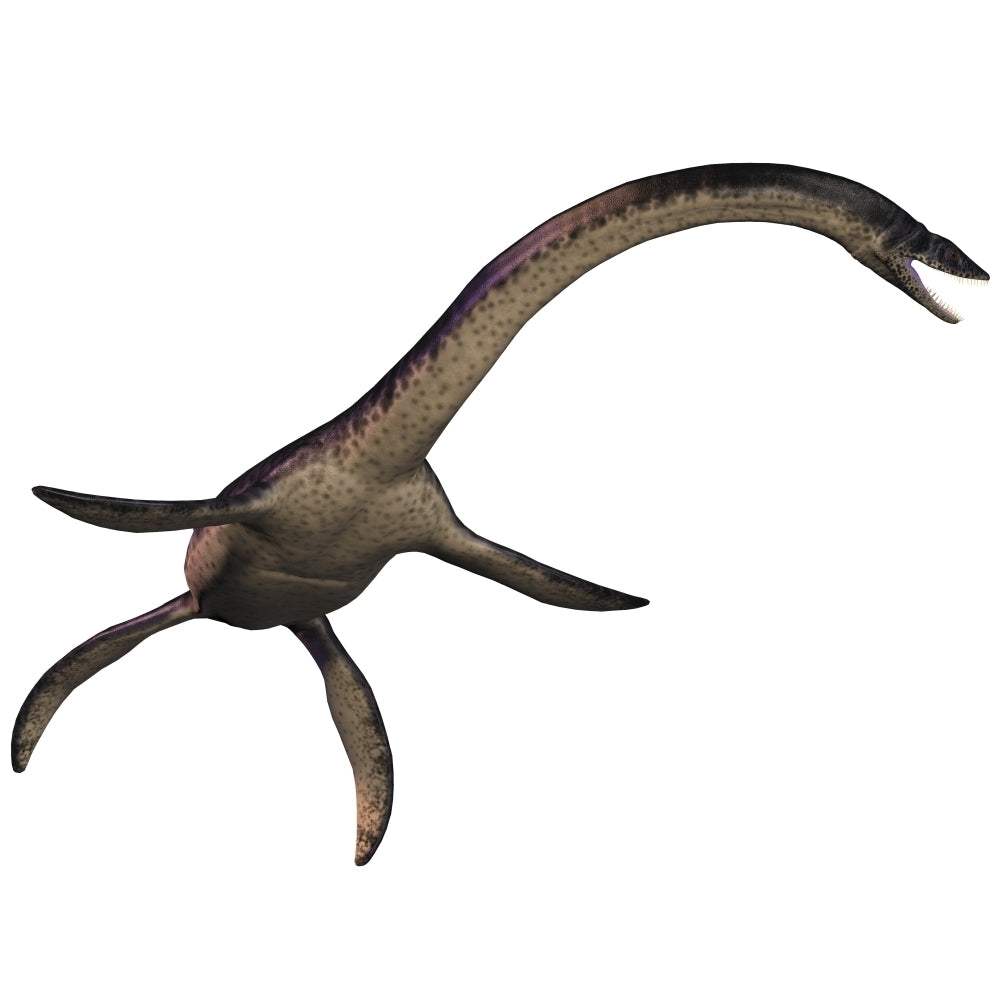 Plesiosaurus large marine predatory reptile from the Jurassic Era Poster Print Image 1