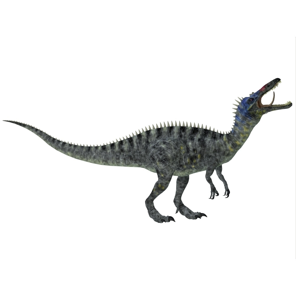 Suchomimus a large dinosaur from the Cretaceous Period Poster Print Image 1