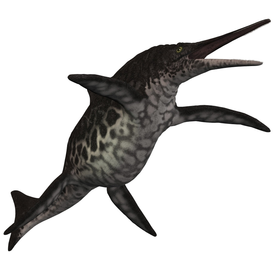 Shonisaurus a prehistoric ichthyosaur from the Triassic period Poster Print Image 1