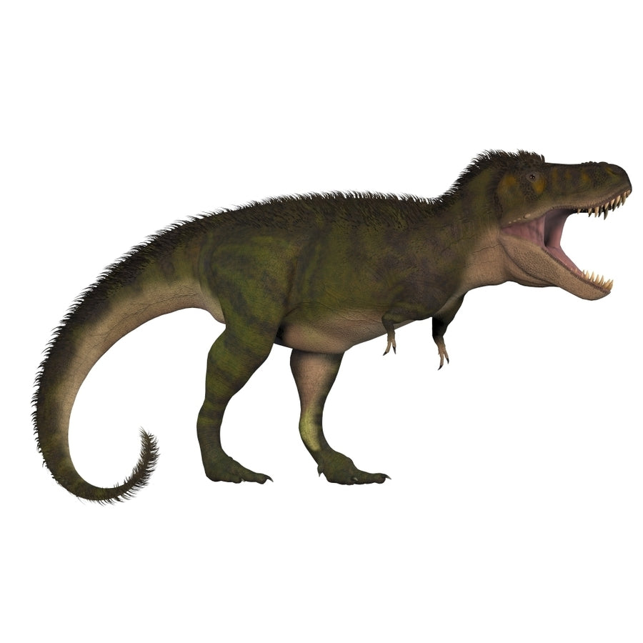 Tyranosaurus Rex a large carnivore of the Cretaceous Period Poster Print Image 1