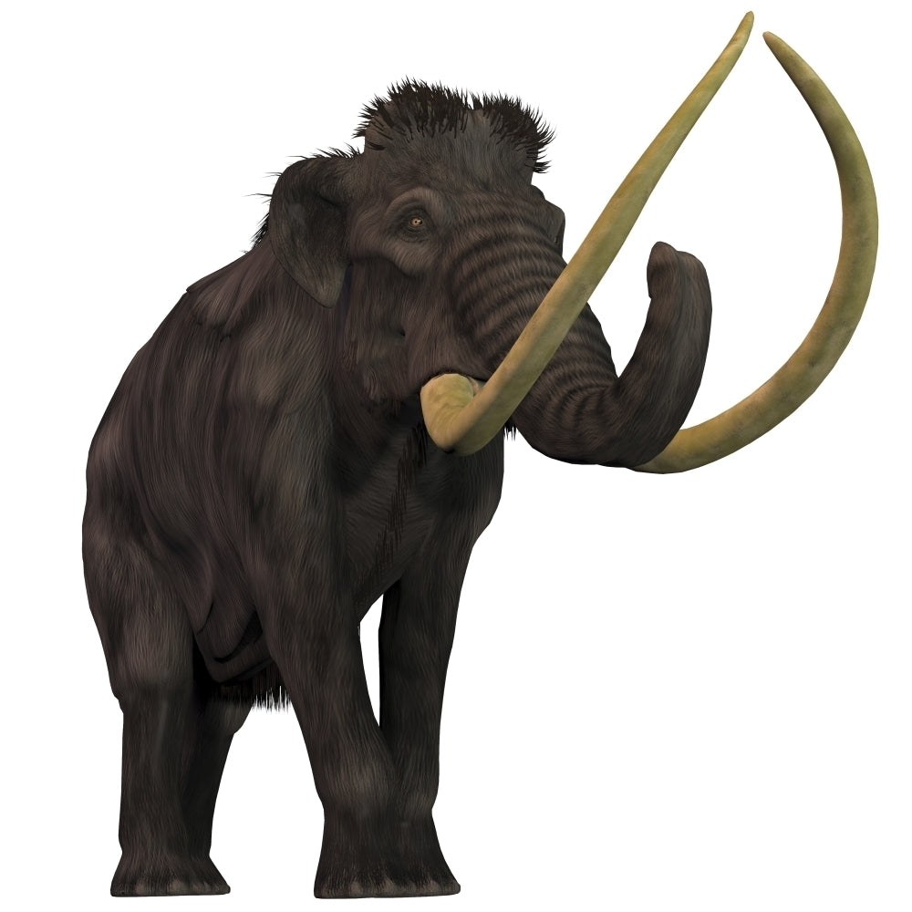 The Woolly Mammoth Poster Print Image 1