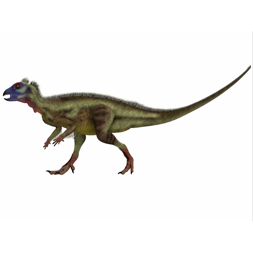 Hypsilophodon is an ornithopod dinosaur from the Cretaceous Period Poster Print Image 1