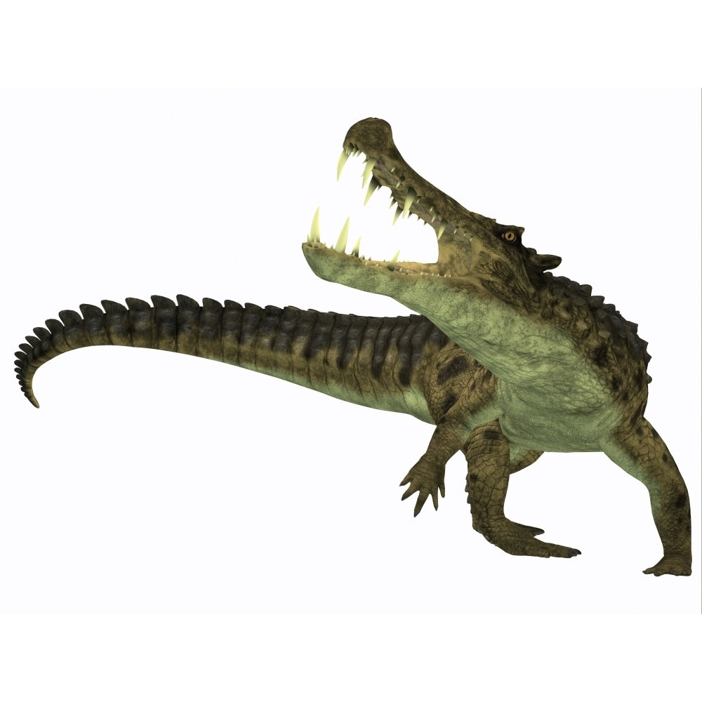 Kaprosuchus is an extinct genus of crocodile Poster Print Image 1