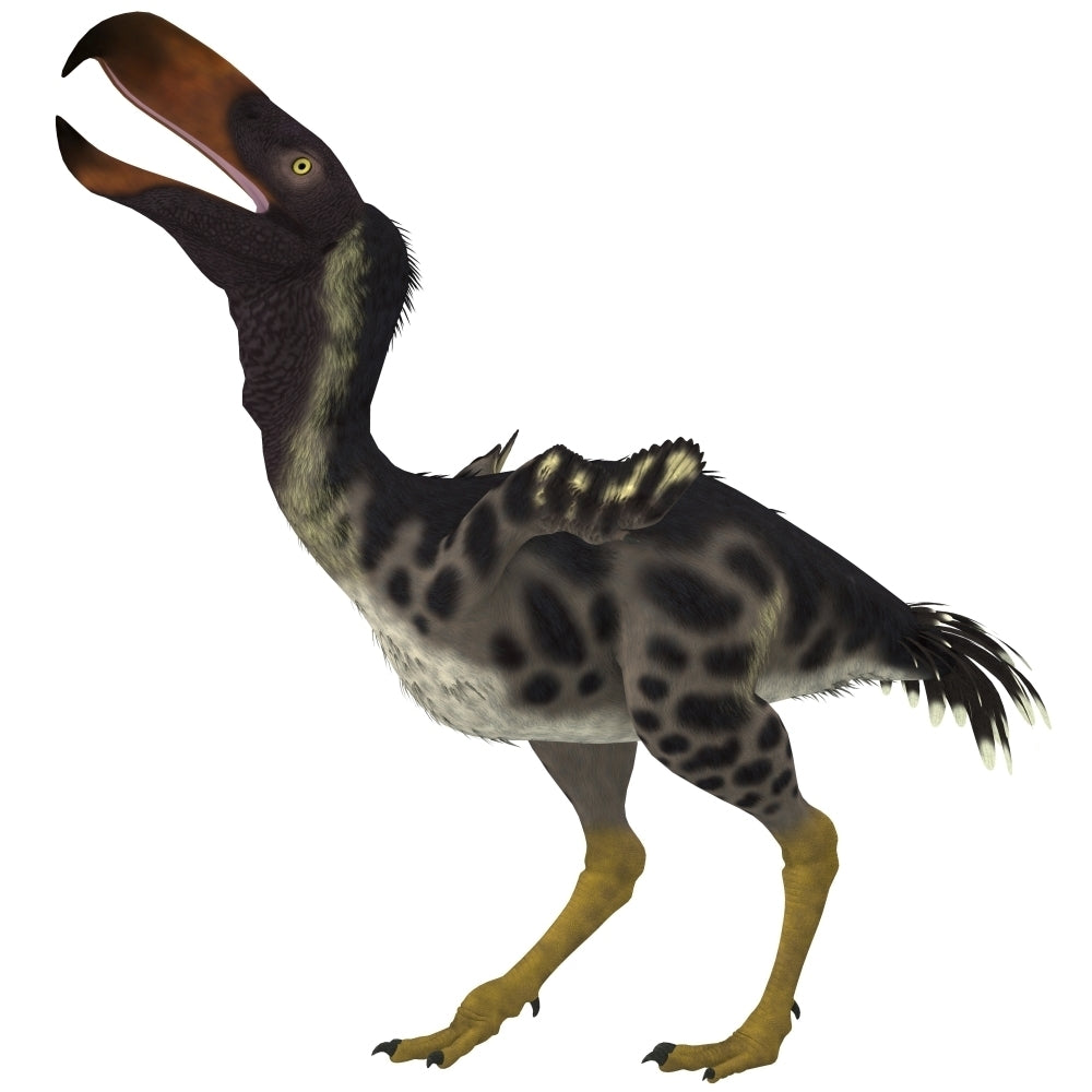 Kelenken is an extinct genus of giant flightless predatory birds Poster Print Image 2