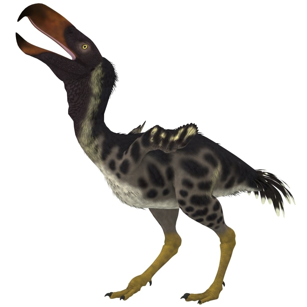 Kelenken is an extinct genus of giant flightless predatory birds Poster Print Image 1