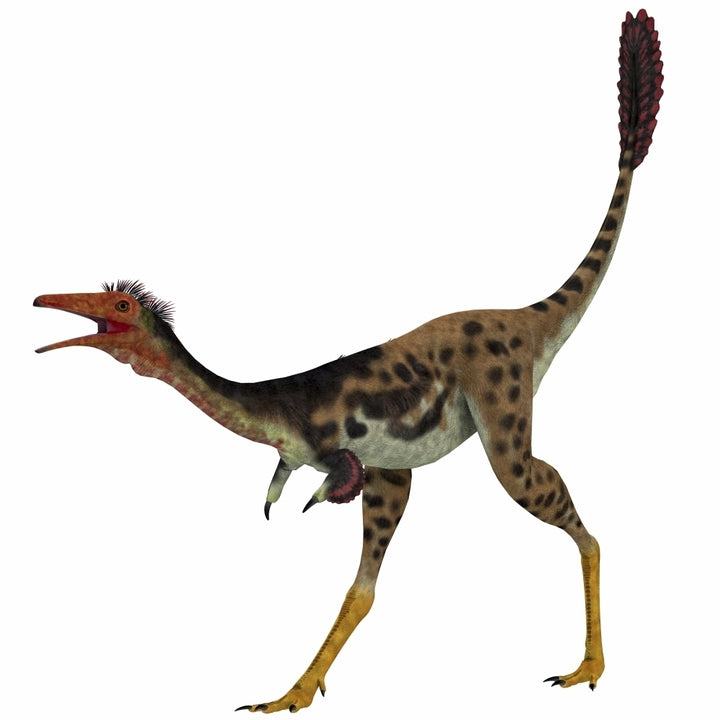 Mononykus a theropod dinosaur from the late Cretaceous Poster Print Image 2