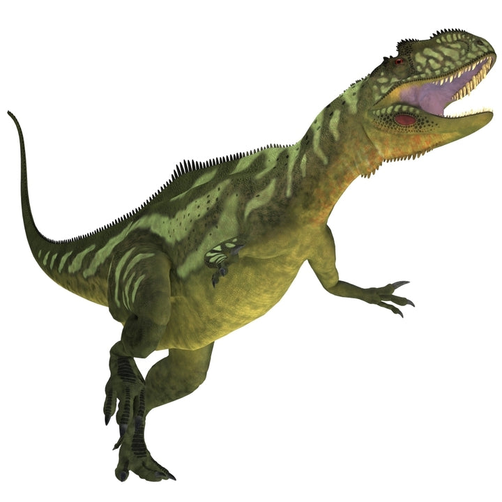 Yangchuanosaurus a theropod dinosaur from the Jurassic Period Poster Print Image 1