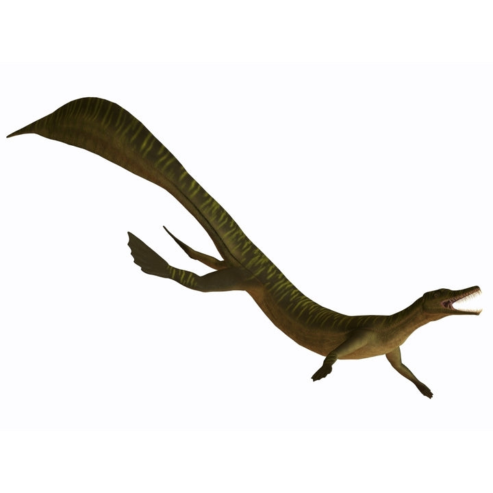 Mesosaurus an aquatic reptile from the Early Permian period Poster Print Image 1