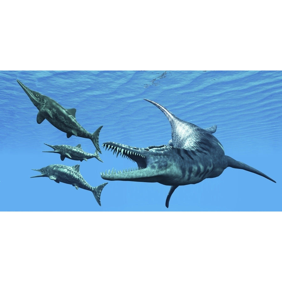 Liopleurodon reptile hunting Ichthyosaurus dinosaurs in Jurassic seas Poster Print Image 1