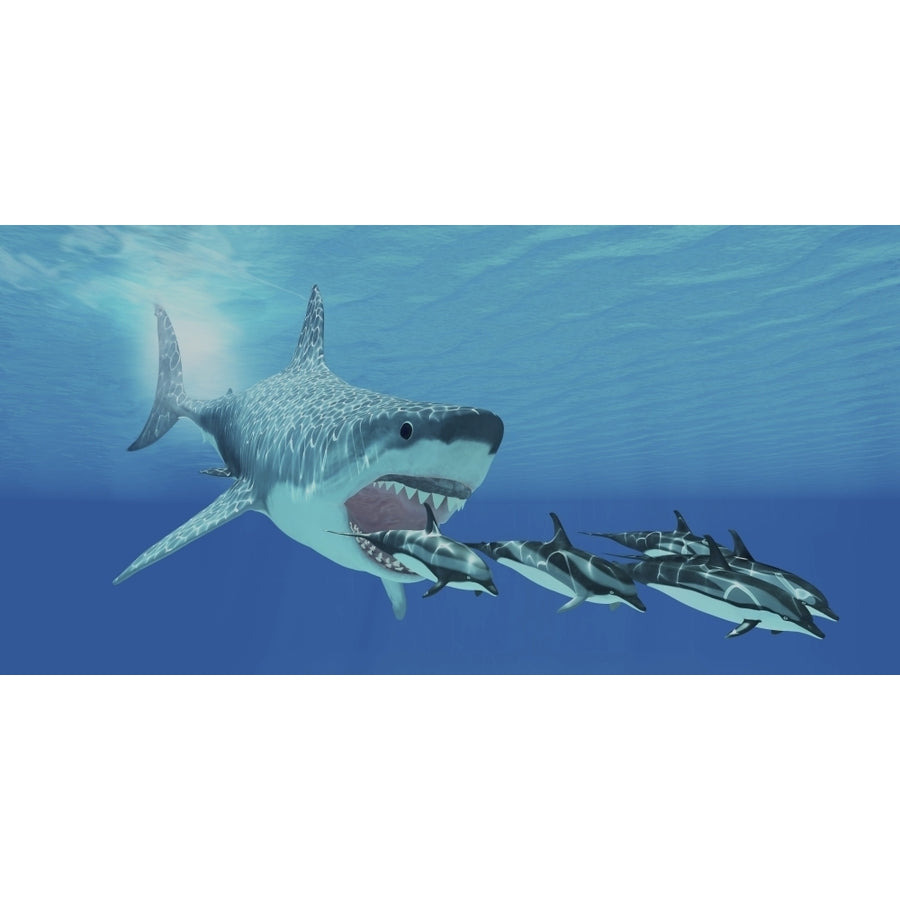 A huge Megalodon shark swims after a pod of striped dolphins Poster Print Image 1