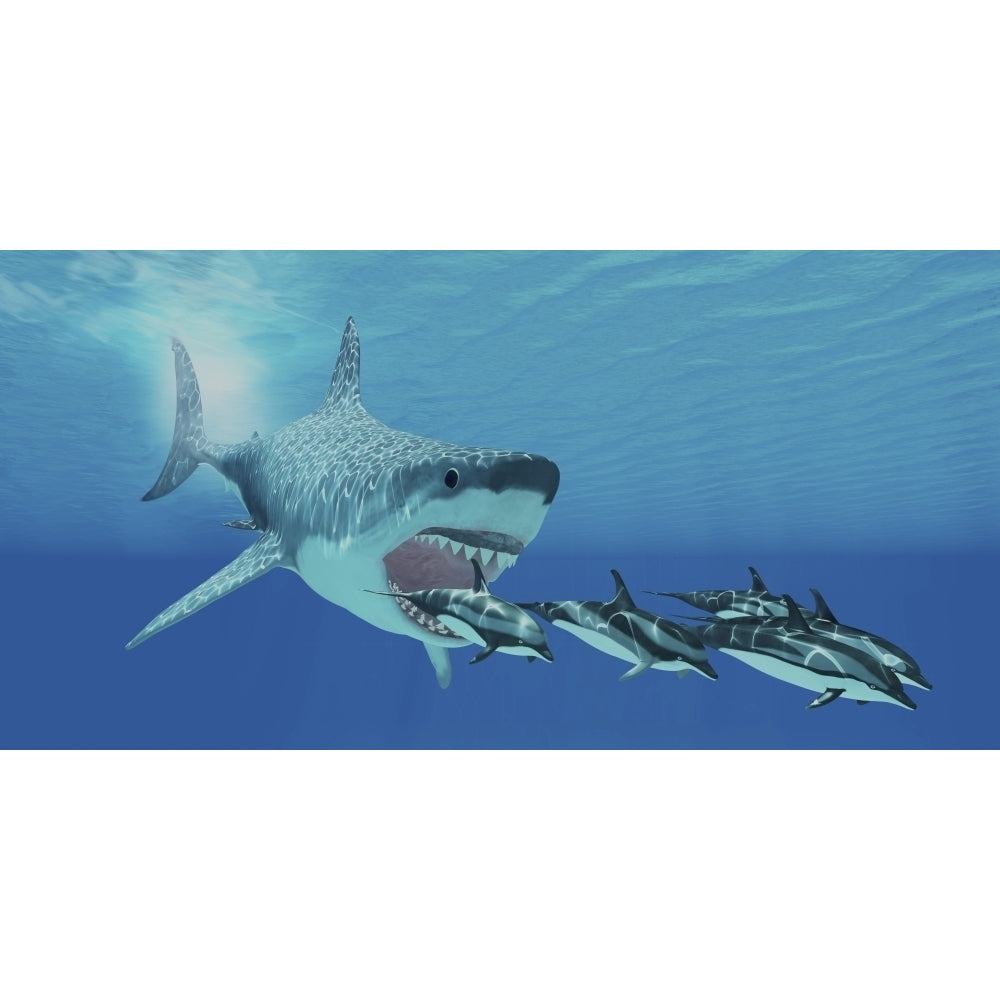 A huge Megalodon shark swims after a pod of striped dolphins Poster Print Image 2