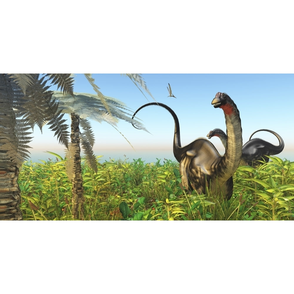 Two Apatosaurus dinosaurs in a lush Cretaceous jungle Poster Print Image 1