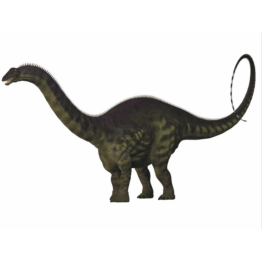 Apatosaurus dinosaur Poster Print Image 1