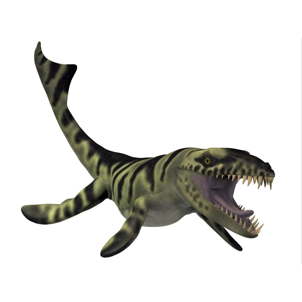 Dakosaurus white background Poster Print Image 2