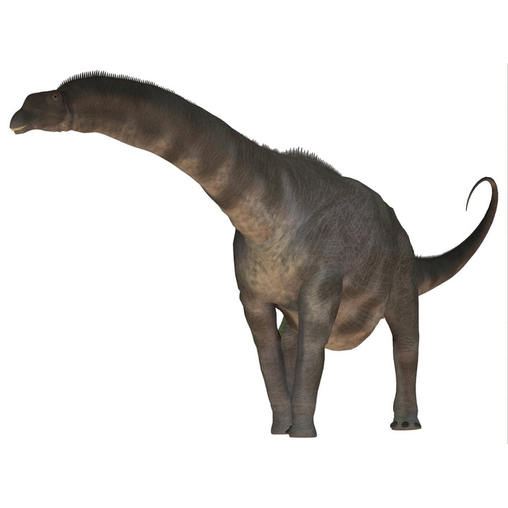 Argentinosaurus dinosaur Poster Print Image 1