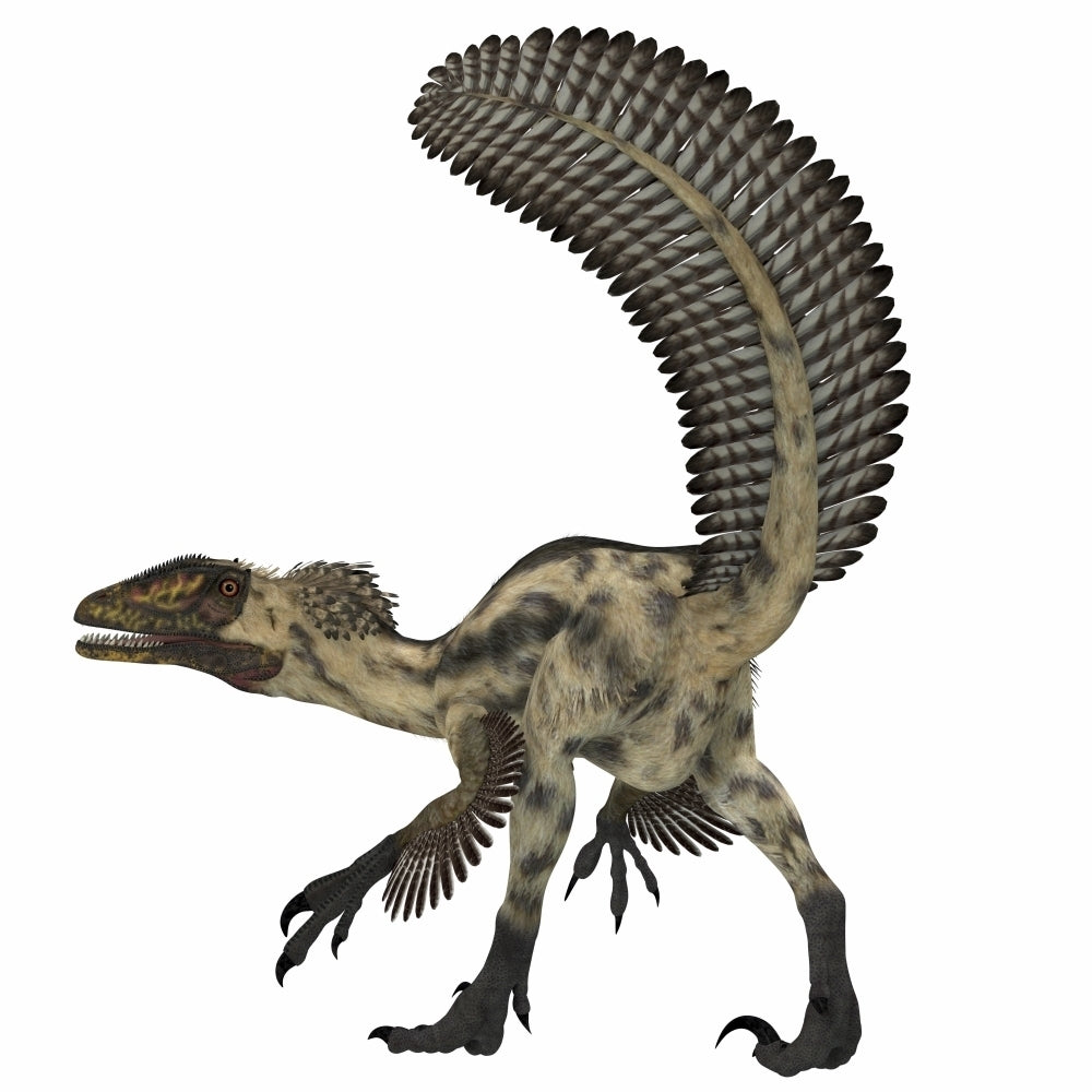 Deinonychus a carnivorous dinosaur from the early Cretaceous Period Poster Print Image 2