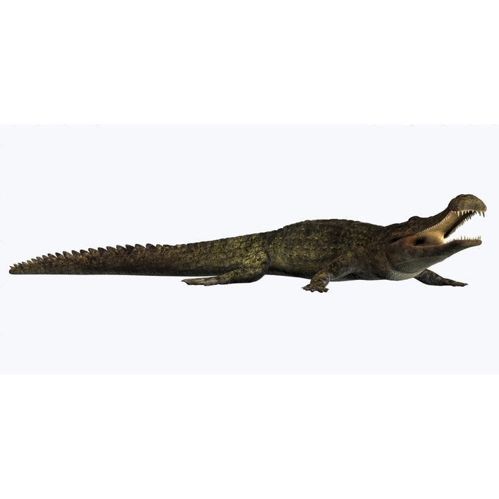 Sarcosuchus crocodyliform from the prehistoric era Poster Print Image 1