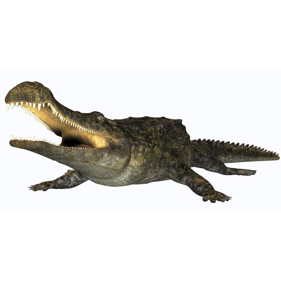 Sarcosuchus crocodyliform from the prehistoric era Poster Print Image 1