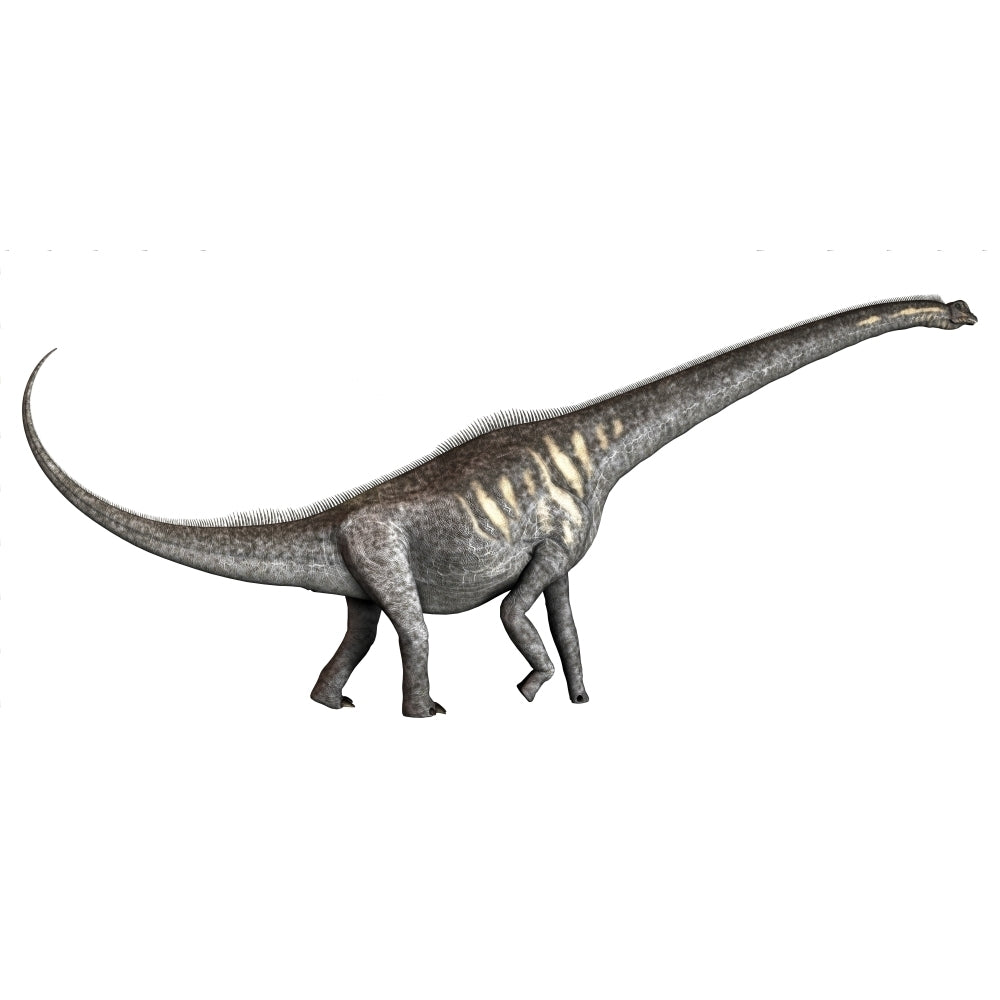 Sauroposeidon dinosaur from the Cretaceous Period Poster Print Image 2