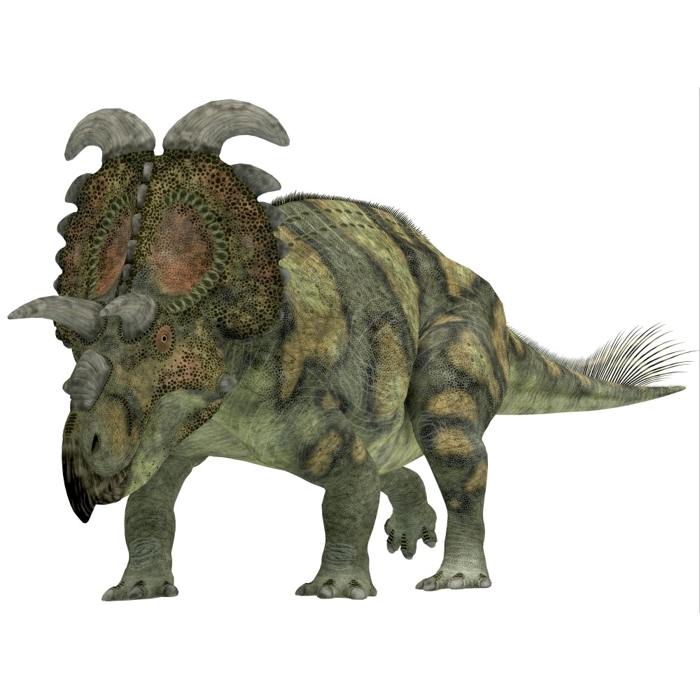 Albertaceratops dinosaur Poster Print Image 1