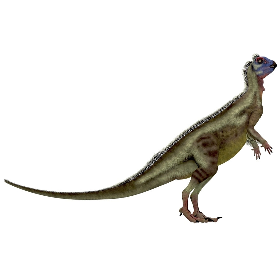 Hypsilophodon is an omnivorous dinosaur that lived during the Cretaceous period Poster Print Image 1