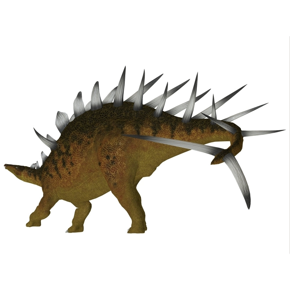 Kentrosaurus dinosaur Poster Print Image 1