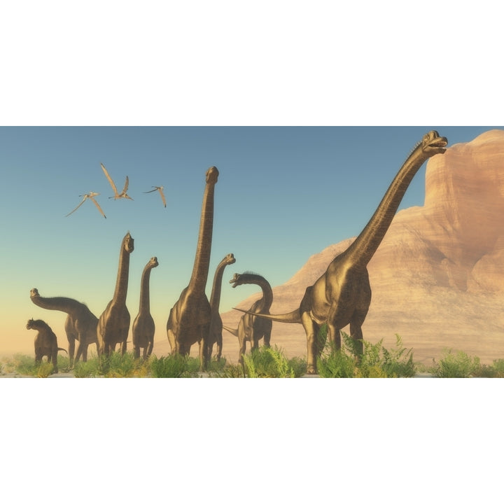 A herd of Brachiosaurus travel near a canyon mountain Poster Print Image 1