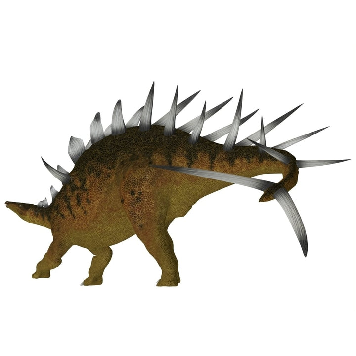 Kentrosaurus dinosaur Poster Print Image 1