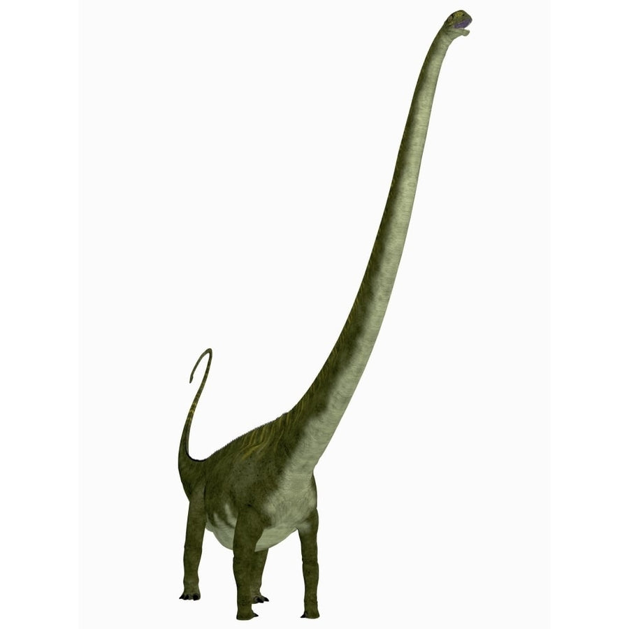 Mamenchisaurus dinosaur Poster Print Image 1