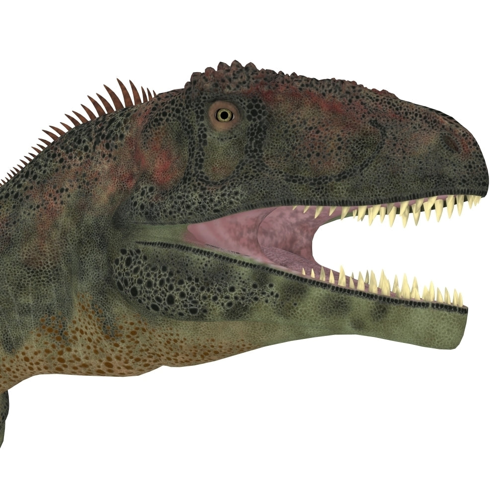 Mapusaurus dinosaur head Poster Print Image 1