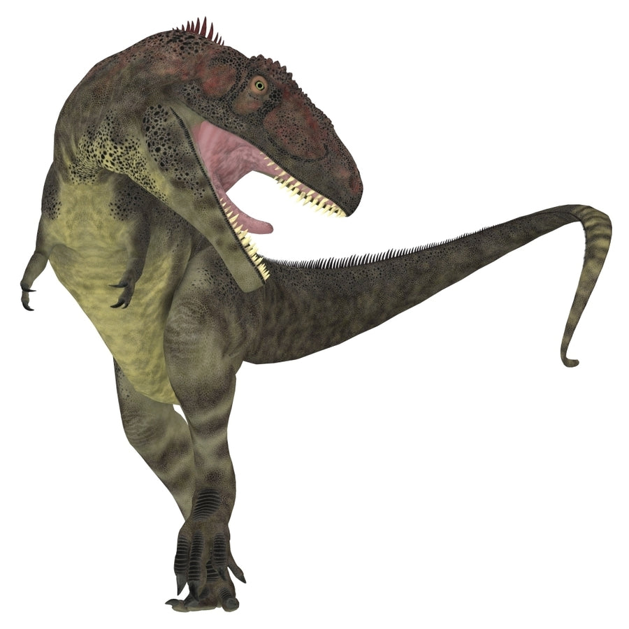 Mapusaurus dinosaur white background Poster Print Image 1