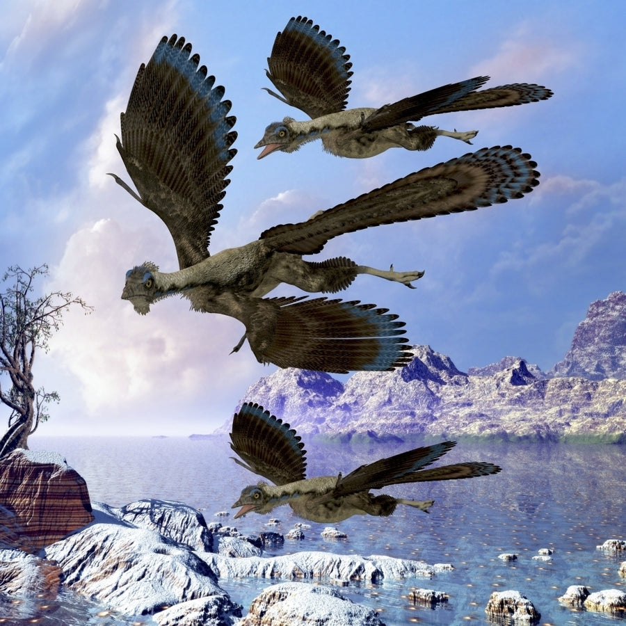 Archaeopteryx birds fly near a shoreline on a cloudy prehistoric day Poster Print Image 1