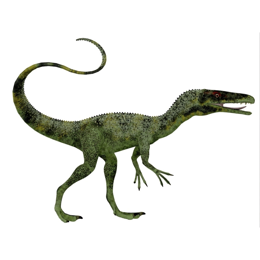 Juravenator dinosaur Poster Print Image 1