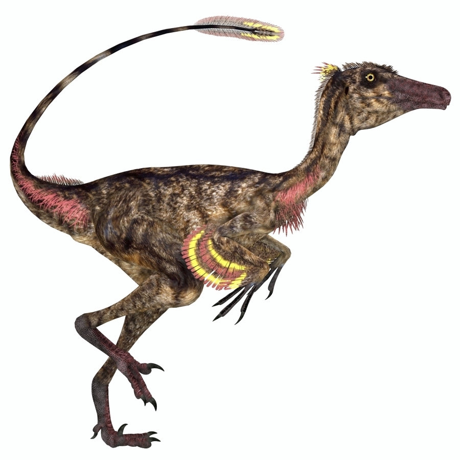 Troodon bird-like dinosaur Poster Print Image 1