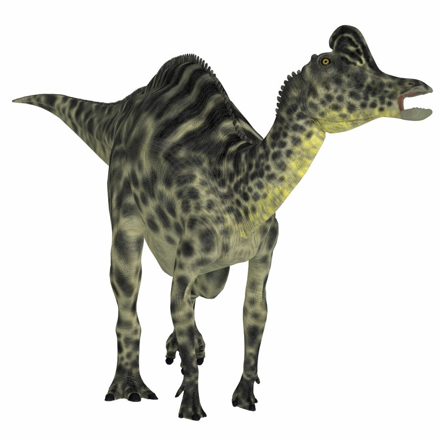 Velafrons duck-billed dinosaur Poster Print Image 1