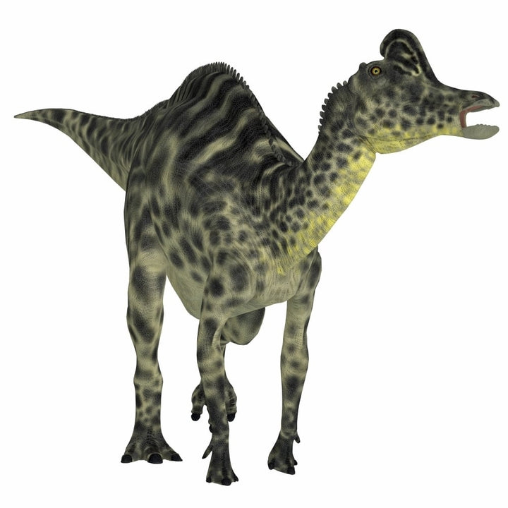 Velafrons duck-billed dinosaur Poster Print Image 1