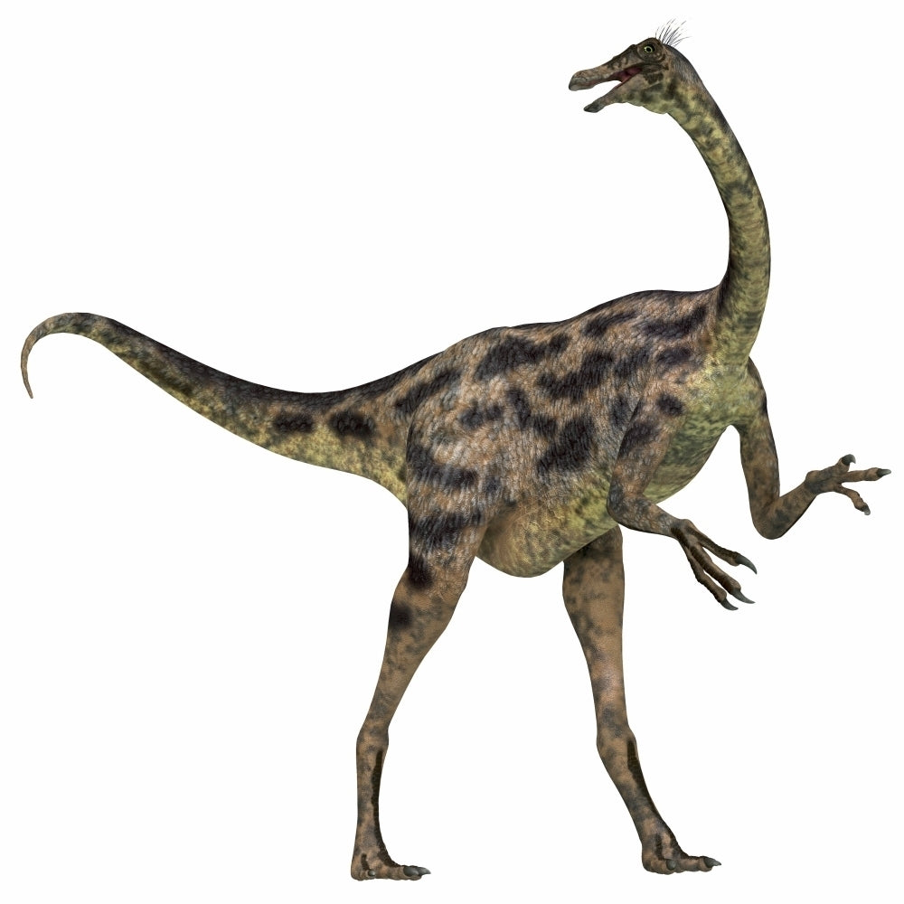 Gallimimus dinosaur Poster Print Image 2