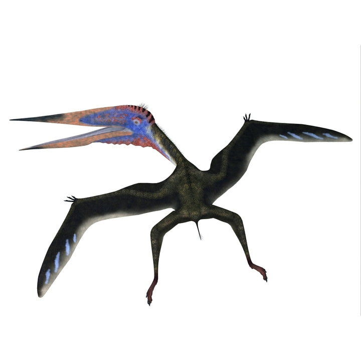 Zhejiangopterus pterosaur Poster Print Image 1