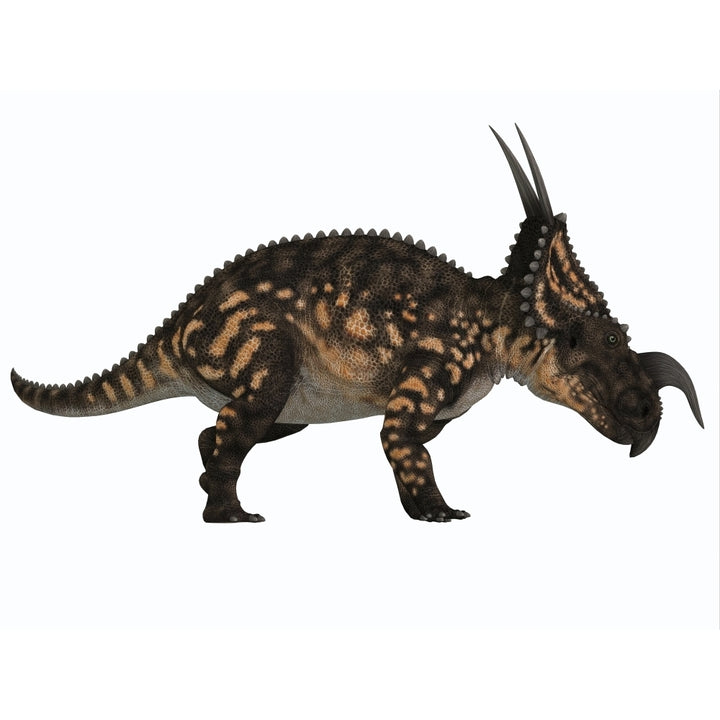 Einiosaurus dinosaur side view Poster Print Image 2