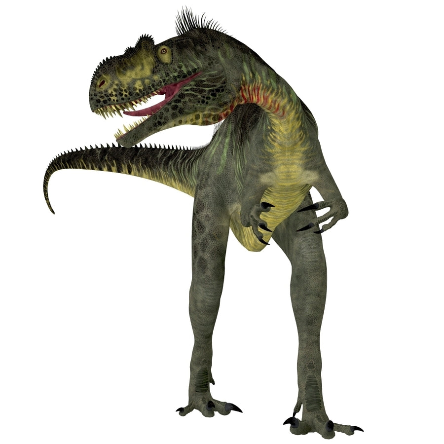 Megalosaurus dinosaur front view Poster Print Image 1