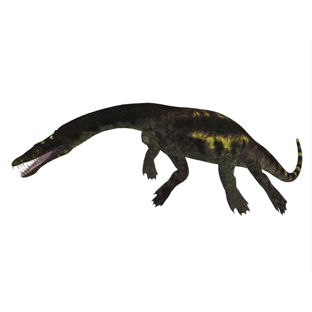 Nothosaurus reptile side view Poster Print Image 1